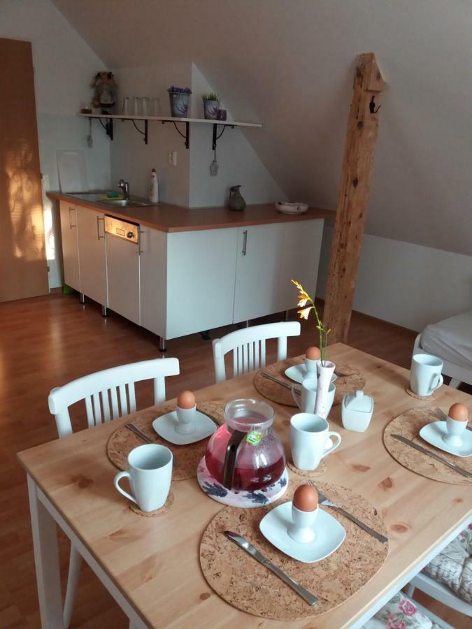 Apartmany F-M Frýdek-Místek エクステリア 写真