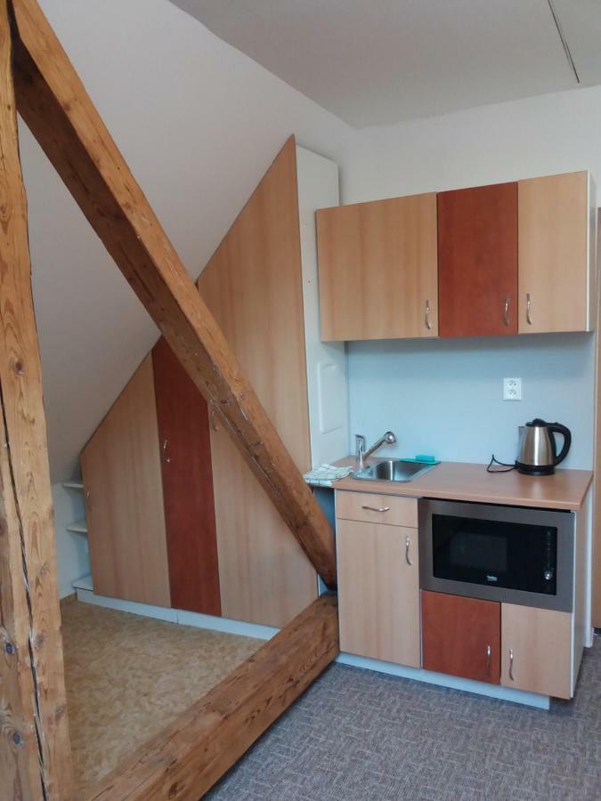 Apartmany F-M Frýdek-Místek エクステリア 写真